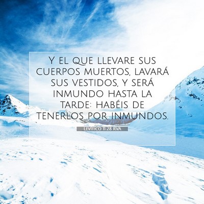 Picture 07 - Levítico 11:28 RVA - Y el que llevare sus cuerpos muertos, lavará sus - Bible Verse Picture