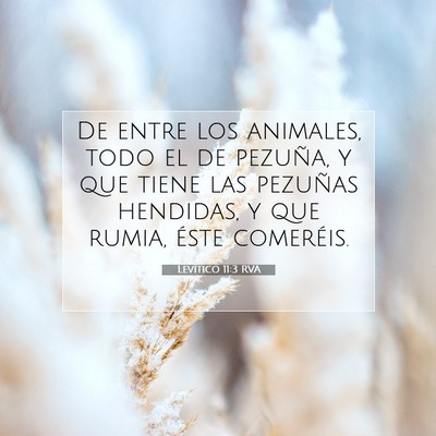 Picture 07 - Levítico 11:3 RVA - De entre los animales, todo el de pezuña, y que - Bible Verse Picture