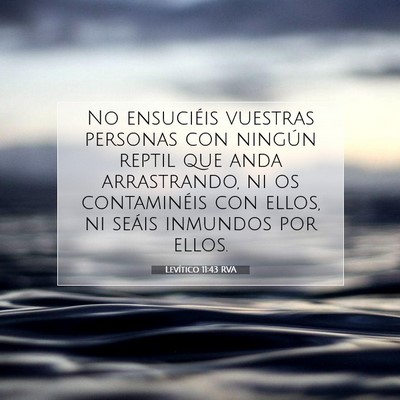 Picture 07 - Levítico 11:43 RVA - No ensuciéis vuestras personas con ningún - Bible Verse Picture