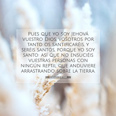 Picture 07 - Levítico 11:44 RVA - Pues que yo soy Jehová vuestro Dios, vosotros - Bible Verse Picture