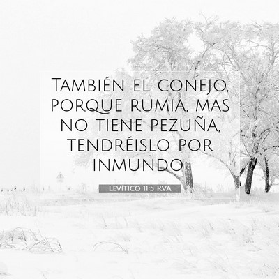 Picture 07 - Levítico 11:5 RVA - También el conejo, porque rumia, mas no tiene - Bible Verse Picture