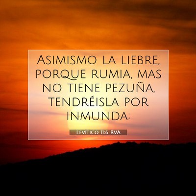 Picture 07 - Levítico 11:6 RVA - Asimismo la liebre, porque rumia, mas no tiene - Bible Verse Picture