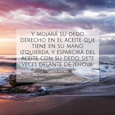 Picture 07 - Levítico 14:16 RVA - Y mojará su dedo derecho en el aceite que tiene - Bible Verse Picture