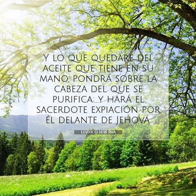 Picture 07 - Levítico 14:18 RVA - Y lo que quedare del aceite que tiene en su mano, - Bible Verse Picture