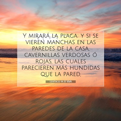 Picture 07 - Levítico 14:37 RVA - Y mirará la plaga: y si se vieren manchas en las - Bible Verse Picture