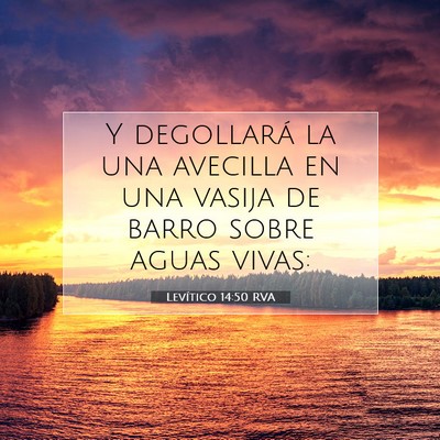 Picture 07 - Levítico 14:50 RVA - Y degollará la una avecilla en una vasija de - Bible Verse Picture