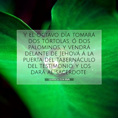 Picture 07 - Levítico 15:14 RVA - Y el octavo día tomará dos tórtolas, ó dos - Bible Verse Picture