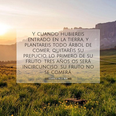 Picture 07 - Levítico 19:23 RVA - Y cuando hubiereis entrado en la tierra, y - Bible Verse Picture