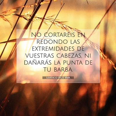 Picture 07 - Levítico 19:27 RVA - No cortaréis en redondo las extremidades de - Bible Verse Picture