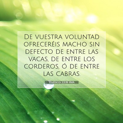 Picture 07 - Levítico 22:19 RVA - De vuestra voluntad ofreceréis macho sin defecto - Bible Verse Picture