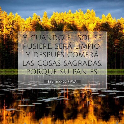Picture 07 - Levítico 22:7 RVA - Y cuando el sol se pusiere, será limpio; y - Bible Verse Picture