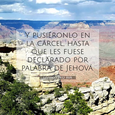 Picture 07 - Levítico 24:12 RVA - Y pusiéronlo en la cárcel, hasta que les fuese - Bible Verse Picture