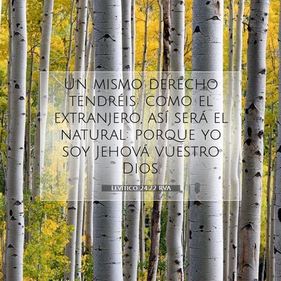 Picture 07 - Levítico 24:22 RVA - Un mismo derecho tendréis: como el extranjero, - Bible Verse Picture