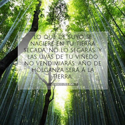 Picture 07 - Levítico 25:5 RVA - Lo que de suyo se naciere en tu tierra segada, no - Bible Verse Picture