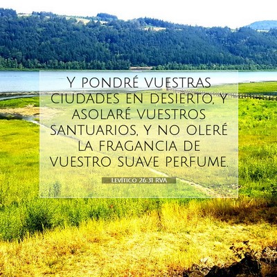 Picture 07 - Levítico 26:31 RVA - Y pondré vuestras ciudades en desierto, y - Bible Verse Picture