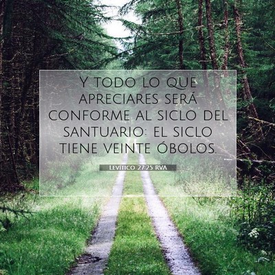 Picture 07 - Levítico 27:25 RVA - Y todo lo que apreciares será conforme al siclo - Bible Verse Picture
