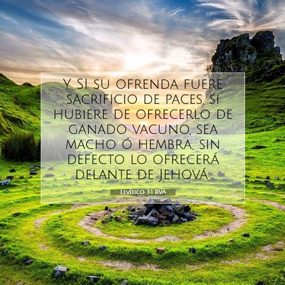 Picture 07 - Levítico 3:1 RVA - Y SI su ofrenda fuere sacrificio de paces, si - Bible Verse Picture