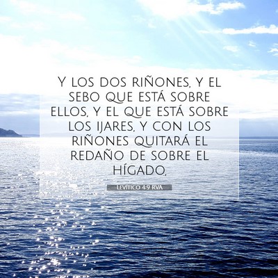 Picture 07 - Levítico 4:9 RVA - Y los dos riñones, y el sebo que está sobre - Bible Verse Picture