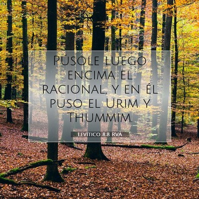 Picture 07 - Levítico 8:8 RVA - Púsole luego encima el racional, y en él puso - Bible Verse Picture