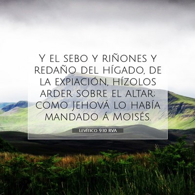 Picture 07 - Levítico 9:10 RVA - Y el sebo y riñones y redaño del hígado, de la - Bible Verse Picture