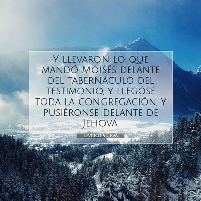 Picture 07 - Levítico 9:5 RVA - Y llevaron lo que mandó Moisés delante del - Bible Verse Picture