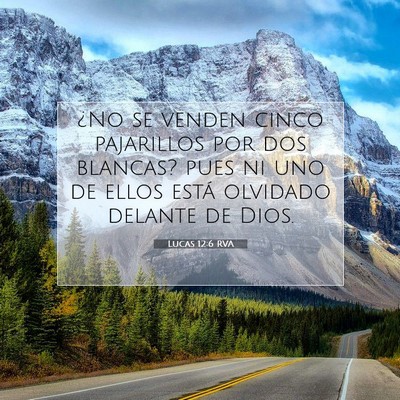 Picture 07 - Lucas 12:6 RVA - ¿No se venden cinco pajarillos por dos blancas? - Bible Verse Picture