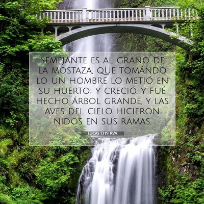Picture 07 - Lucas 13:19 RVA - Semejante es al grano de la mostaza, que tomándo - Bible Verse Picture