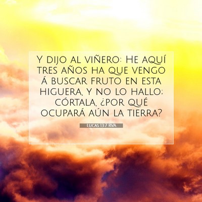 Picture 07 - Lucas 13:7 RVA - Y dijo al viñero: He aquí tres años ha que - Bible Verse Picture