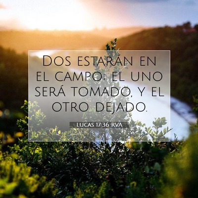 Picture 07 - Lucas 17:36 RVA - Dos estarán en el campo; el uno será tomado, y - Bible Verse Picture