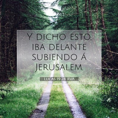 Picture 07 - Lucas 19:28 RVA - Y dicho esto, iba delante subiendo á - Bible Verse Picture