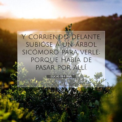 Picture 07 - Lucas 19:4 RVA - Y corriendo delante, subióse á un árbol - Bible Verse Picture
