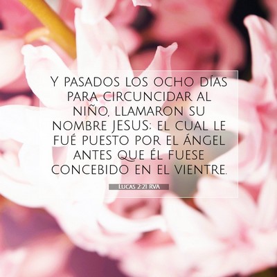 Picture 07 - Lucas 2:21 RVA - Y pasados los ocho días para circuncidar al - Bible Verse Picture