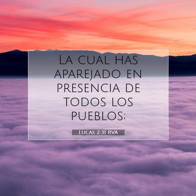 Picture 07 - Lucas 2:31 RVA - La cual has aparejado en presencia de todos los - Bible Verse Picture