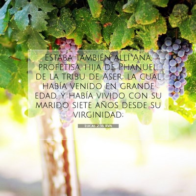 Picture 07 - Lucas 2:36 RVA - Estaba también allí Ana, profetisa, hija de - Bible Verse Picture