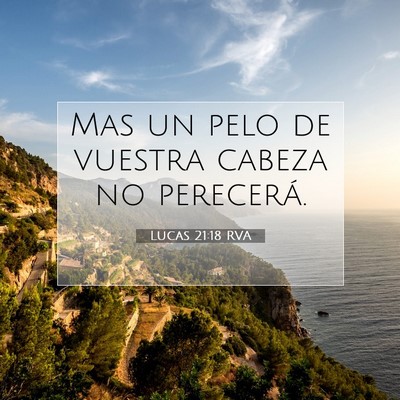 Picture 07 - Lucas 21:18 RVA - Mas un pelo de vuestra cabeza no - Bible Verse Picture