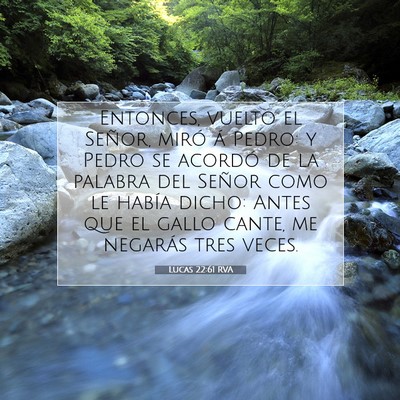 Picture 07 - Lucas 22:61 RVA - Entonces, vuelto el Señor, miró á Pedro: y - Bible Verse Picture