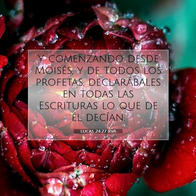 Picture 07 - Lucas 24:27 RVA - Y comenzando desde Moisés, y de todos los - Bible Verse Picture