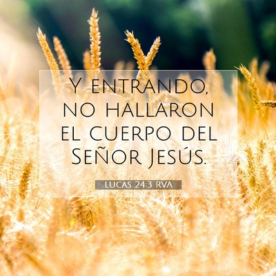 Picture 07 - Lucas 24:3 RVA - Y entrando, no hallaron el cuerpo del Señor - Bible Verse Picture