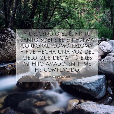 Picture 07 - Lucas 3:22 RVA - Y descendió el Espíritu Santo sobre él en - Bible Verse Picture