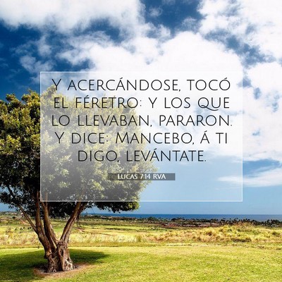 Picture 07 - Lucas 7:14 RVA - Y acercándose, tocó el féretro: y los que lo - Bible Verse Picture