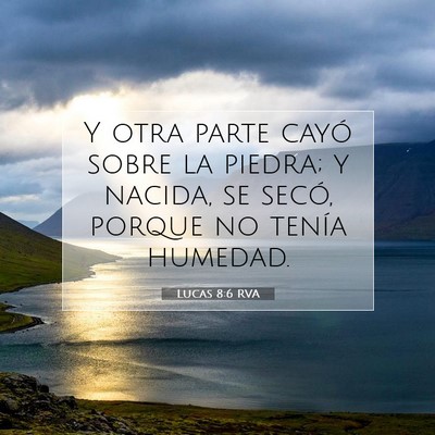 Picture 07 - Lucas 8:6 RVA - Y otra parte cayó sobre la piedra; y nacida, se - Bible Verse Picture