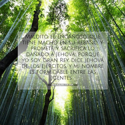 Picture 07 - Malaquías 1:14 RVA - Maldito el engañoso, que tiene macho en su - Bible Verse Picture