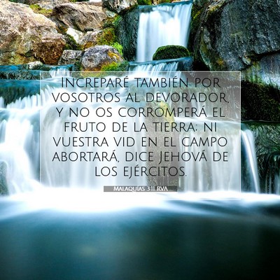 Picture 07 - Malaquías 3:11 RVA - Increparé también por vosotros al devorador, y - Bible Verse Picture