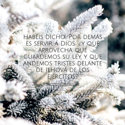 Picture 07 - Malaquías 3:14 RVA - Habéis dicho: Por demás es servir á Dios; ¿y - Bible Verse Picture