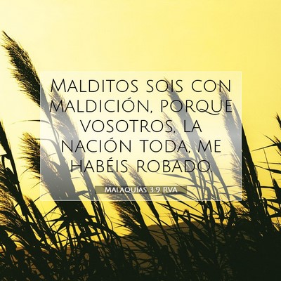 Picture 07 - Malaquías 3:9 RVA - Malditos sois con maldición, porque vosotros, la - Bible Verse Picture