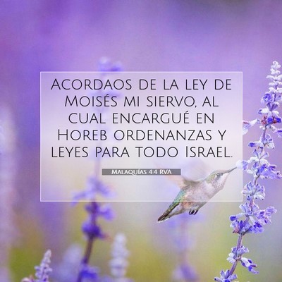 Picture 07 - Malaquías 4:4 RVA - Acordaos de la ley de Moisés mi siervo, al cual - Bible Verse Picture