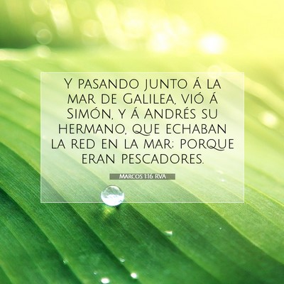 Picture 07 - Marcos 1:16 RVA - Y pasando junto á la mar de Galilea, vió á - Bible Verse Picture