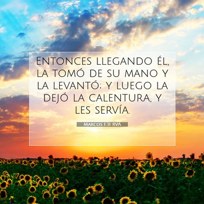 Picture 07 - Marcos 1:31 RVA - Entonces llegando él, la tomó de su mano y la - Bible Verse Picture
