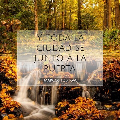 Picture 07 - Marcos 1:33 RVA - Y toda la ciudad se juntó á la - Bible Verse Picture