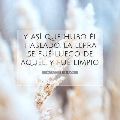 Picture 07 - Marcos 1:42 RVA - Y así que hubo él hablado, la lepra se fué - Bible Verse Picture